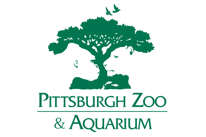 MediaQuest | Video Production, Live Streaming | Pittsburgh, PA | Home